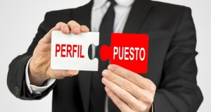 EJECUTIVO-PERFIL-PUESTO